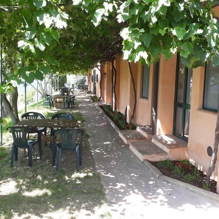 Agriturismo Le Serre Riparbella Exterior photo