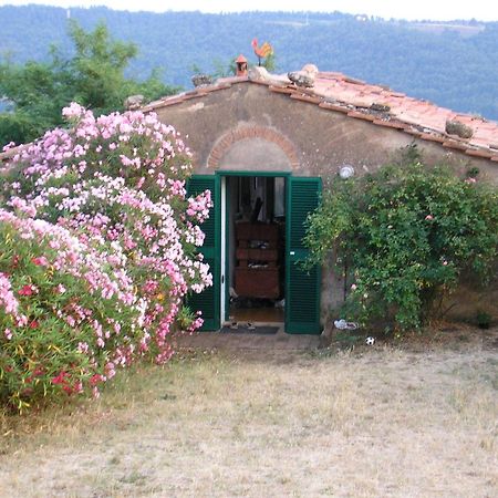 Agriturismo Le Serre Riparbella Room photo