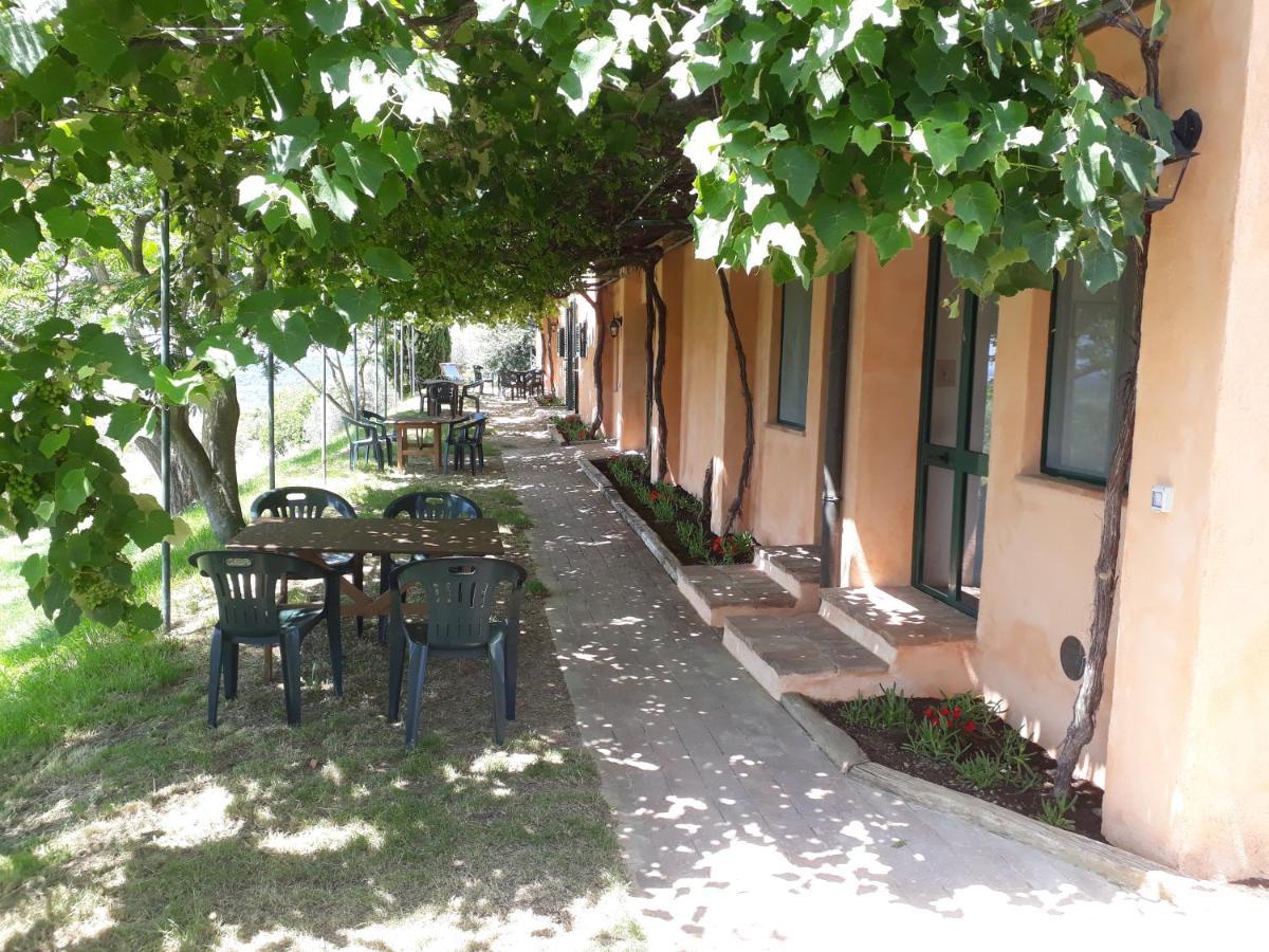 Agriturismo Le Serre Riparbella Exterior photo