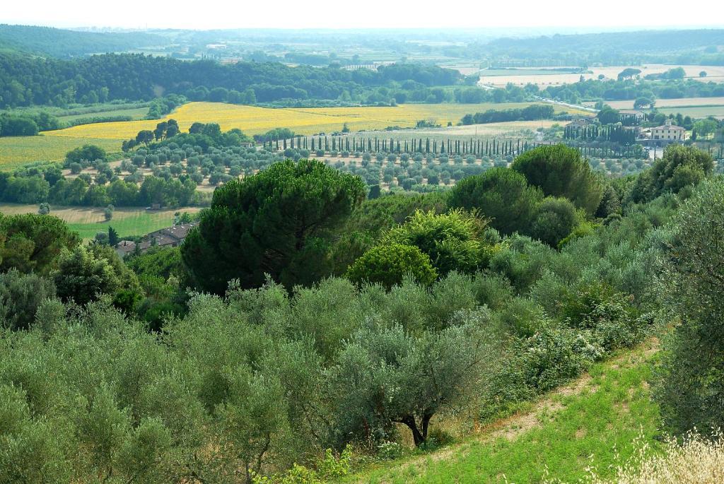Agriturismo Le Serre Riparbella Exterior photo